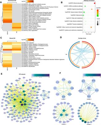 Establishment of a Novel Combined Nomogram for Predicting the Risk of Progression Related to Castration Resistance in Patients With Prostate Cancer